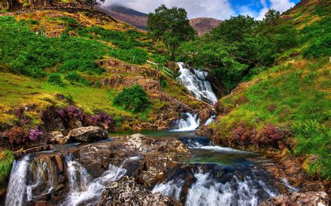 Download Tree Landscape Mountain Wales Snowdonia National Park Nature ...