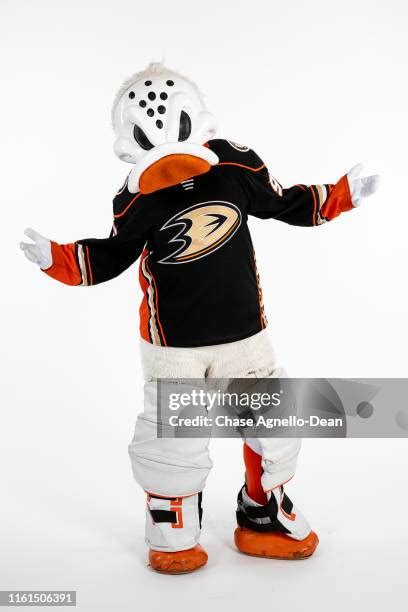 Anaheim Ducks Mascot Photos and Premium High Res Pictures - Getty Images