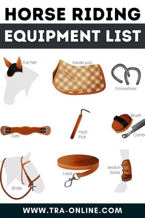 Horse riding equipment list!! | Horse riding gear, Horse riding clothes ...