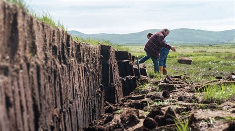 Everything You Need to Know About Peat in Whisky - Whisky Advocate