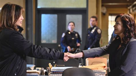 'Blue Bloods' Season 13 Finale: Danny & Jackie Reunited, Plus Crowded ...