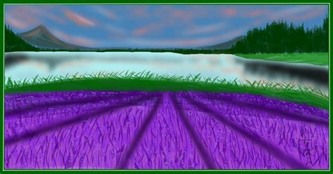 The Lavender Farm » drawings » SketchPort