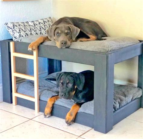 This Dog Bunk Bed Will Save You Space In Smaller Homes and Apartments