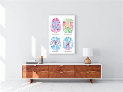 Brain Anatomy Art Neuroscience Art Neurology Art Neurology - Etsy