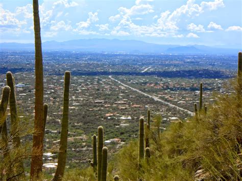 Tucson Mountain Park | Saving Time in a Bottle