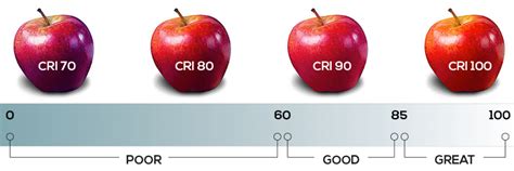 Guide | CCT & CRI - Bulb Basics