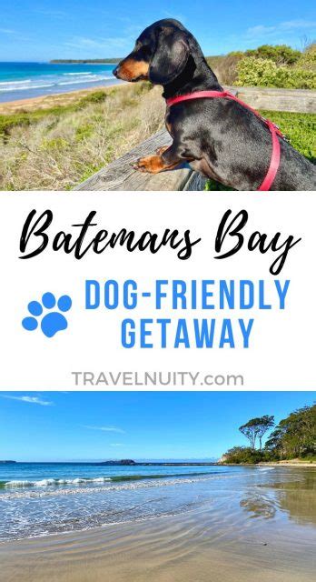 Dog-Friendly Batemans Bay, NSW: Visiting with a Dog - Travelnuity