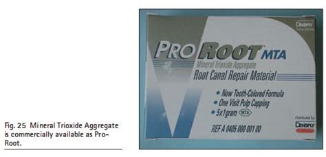 Endodontic: Mineral trioxide aggregate