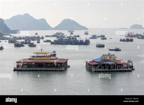 CAT BA TOWN, VIETNAM - FEBRUARY 2019; The Floating Restaurants In The ...