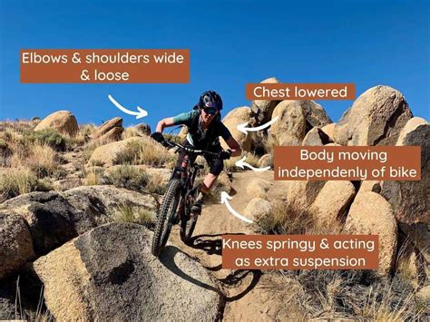 10 Helpful Mountain Biking Tips For Beginners