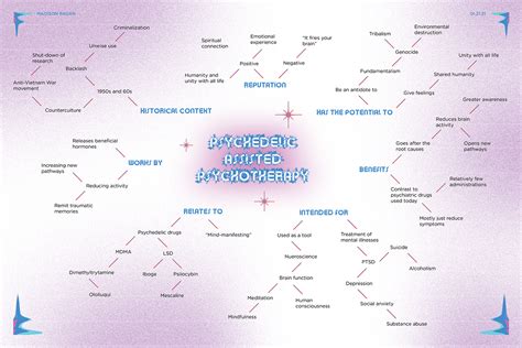 Psychedelic-Assisted Psychotherapy Concept Map - Madison Ragan - Medium