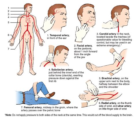 Pressure Points To Knock A Person Out