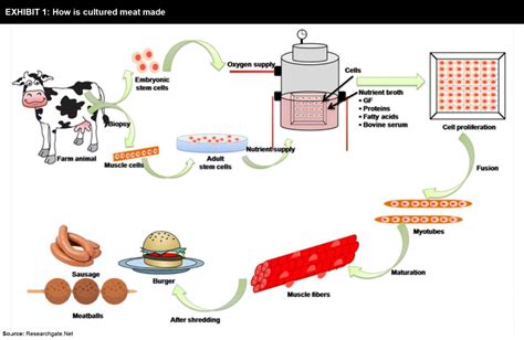 Cultured Meat - FutureBridge