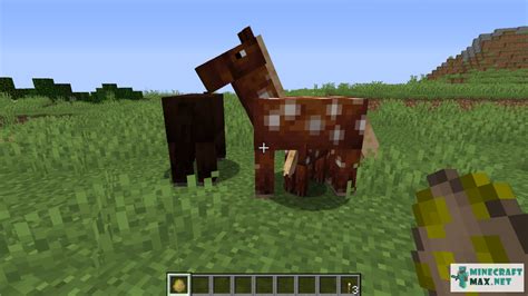 Horse Spawn Egg | How to craft horse spawn egg in Minecraft | Minecraft Wiki