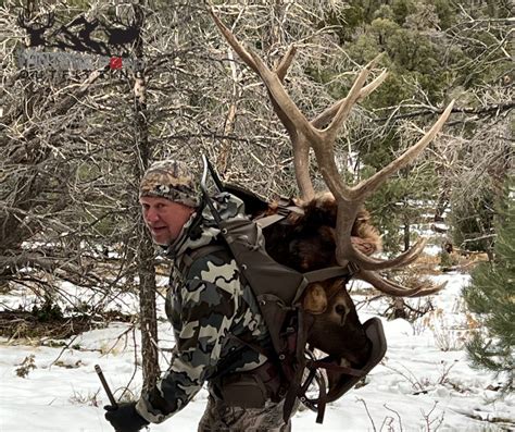 2022 Bull Elk Hunting Season - Part 2 - 6 Bulls in 5 days - Vantage Point Outfitting