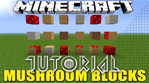 Minecraft MUSHROOM BLOCKS How to Get Tutorial - YouTube