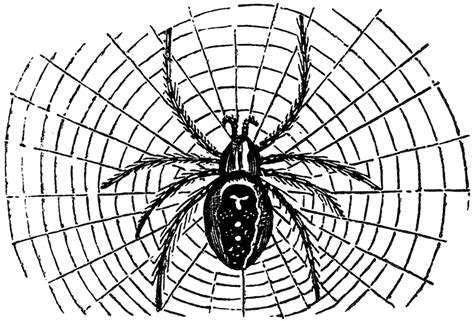Vintage Halloween Spider Image - The Graphics Fairy