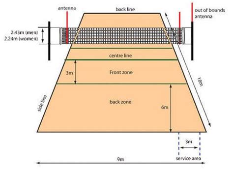 Playing Volleyball | Volleyball court size, Volleyball court dimensions, Volleyball rules
