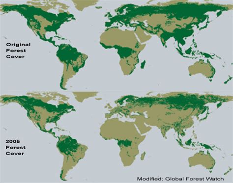 4A: Changes in Forest Cover