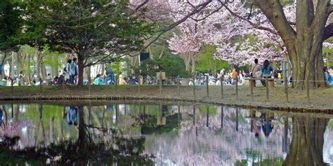 Maruyama Park | List of Attractions | Tourist Attractions | Welcome to Sapporo