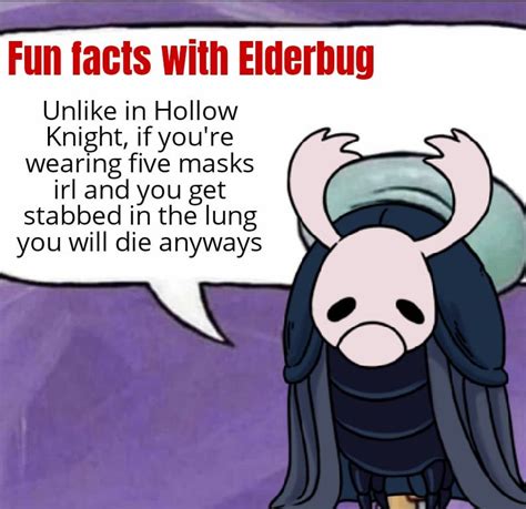 More fun facts with Elderbug! : r/HollowKnightMemes