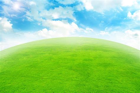 Green grass landscape stock image. Image of environment - 22059125