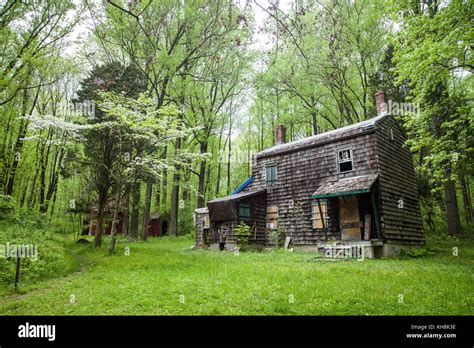 Abandoned house in the woods Stock Photo: 165533074 - Alamy