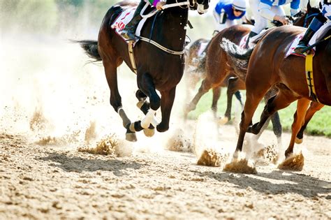 Horse Racing Offers Prestigious Events - Annual Horse Racing Events