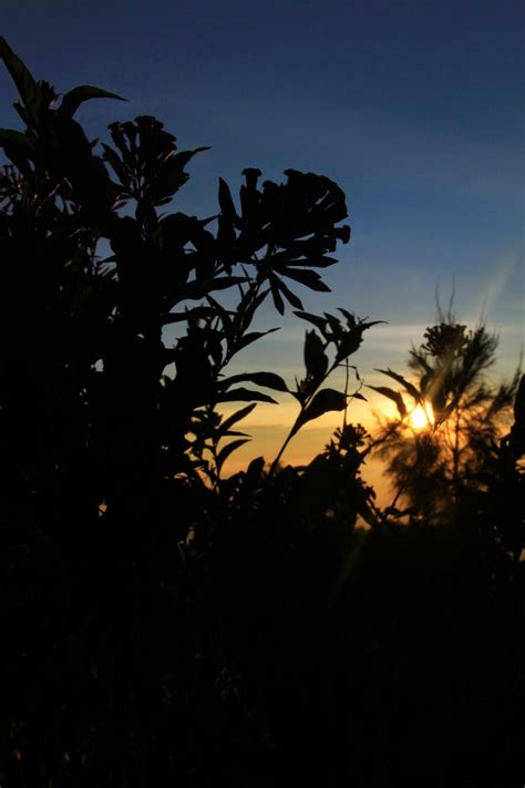 INFO GUNUNG BROMO: KOLEKSI FOTO SUNRISE DI BROMO, INDONESIA. ~ Info Gunung