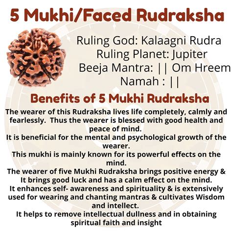 Multi Line Stretchable 5 Mukhi Rudraksha Hand Band Lab - Etsy Canada in 2023 | Rudraksha ...