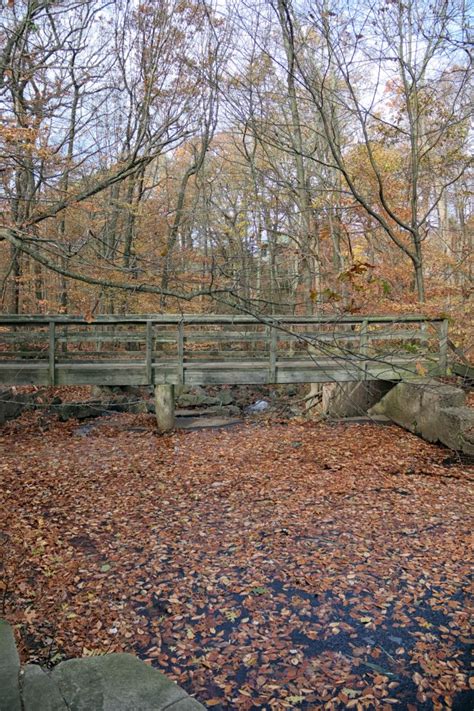 Flat Rock Brook Nature Center - National Parks With T