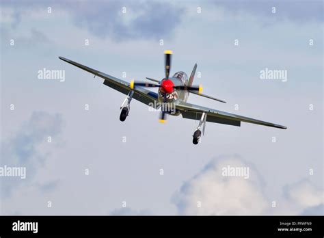 P 51 mustang shark mouth hi-res stock photography and images - Alamy