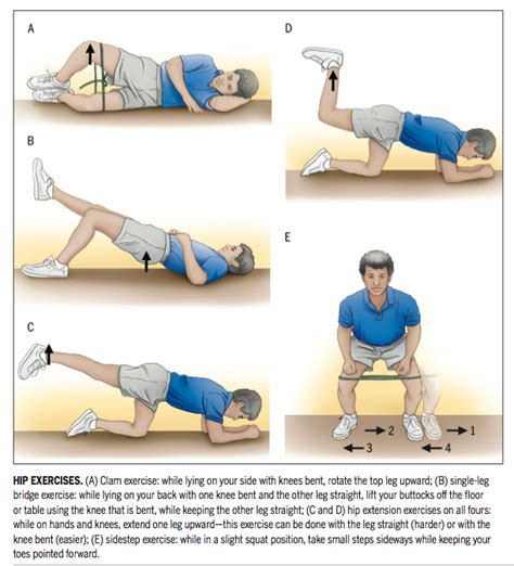 Which exercises target the Gluteal Muscles while minimizing activation of the Tensor Fascia ...