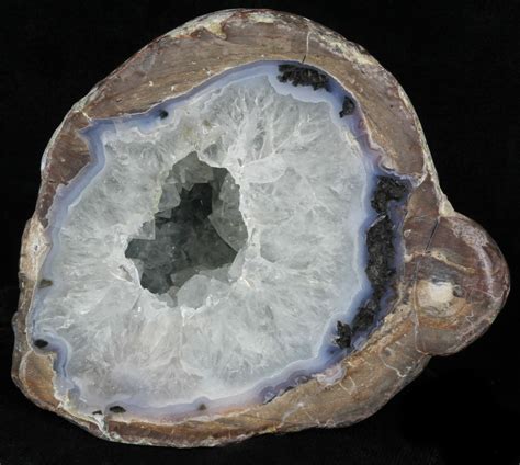 4.3" Crystal Filled Dugway Geode (Polished Half) (#33158) For Sale - FossilEra.com