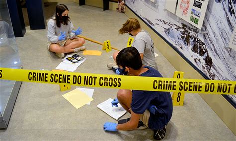 Forensic Detectives Camp | Science Camps | CSHL DNA Learning Center