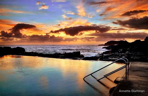 "Sunrise Pool" by Annette Blattman | Redbubble