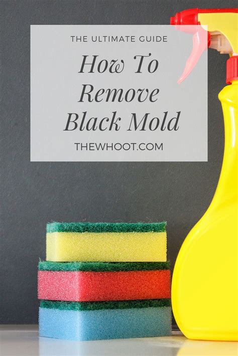 Black Mold Removal Best Tips And Home Remedies {Video} | Mold remover ...