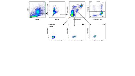 Anti-mouse CD163: A macrophage marker for flow cytometry