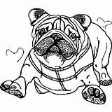 Happy English Bulldog Coloring Page · Creative Fabrica sketch template