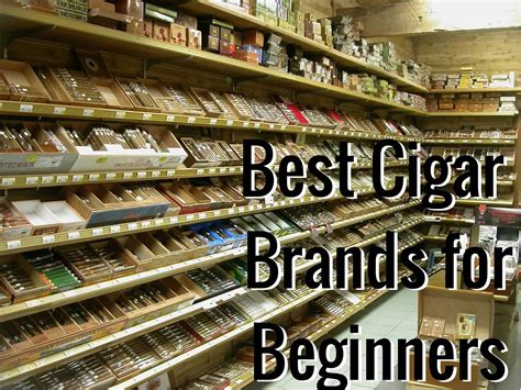 Best Cigar Brands for Beginners - Cigar Whisperer