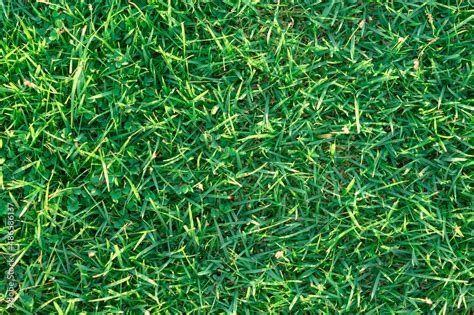 Green grass pattern in parking zone for relax Stock Photo | Adobe Stock