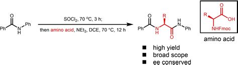 Amide Skeletal Elongation via Amino Acid Insertion - Liu - 2023 - Chemistry – A European Journal ...