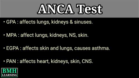 ANCA Test | Why Test For ANCA | Antineutrophilic Cytoplasmic Antibodies ...