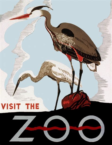Visit The Zoo Poster (4) Free Stock Photo - Public Domain Pictures