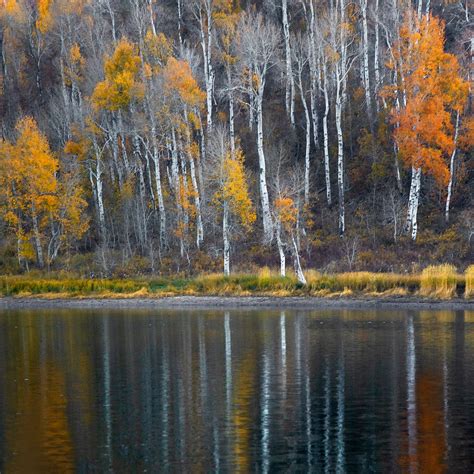 Kolob Reservoir in Virgin, UT (With Photos)