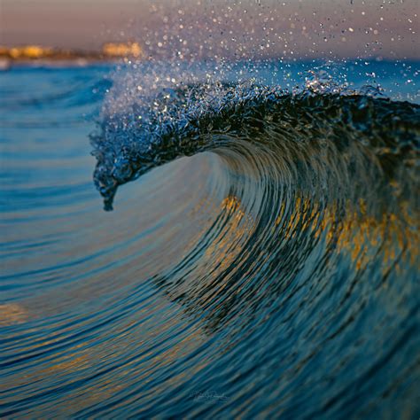 Morning Curl Photography Art | Vitamin Sea Photography