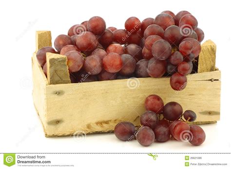 Fresh Red Seedless Grapes on the Vine Stock Photo - Image of food, berry: 26621086