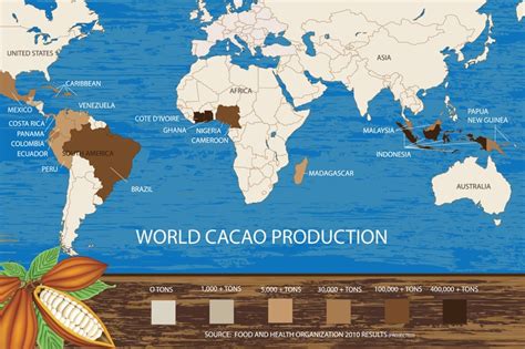 the map of cocoa bean production in the world | Cacao, Cocoa, World