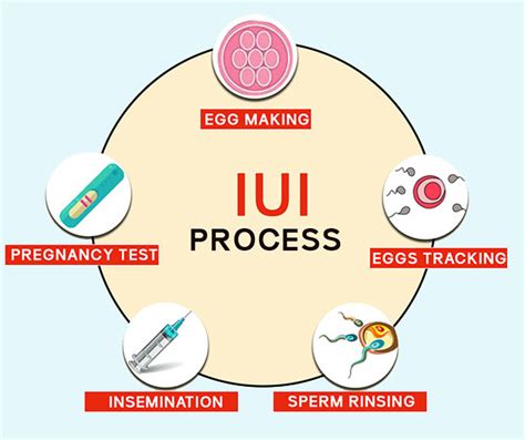 IUI Treatment in Kolkata | Best IUI Clinic in Kolkata