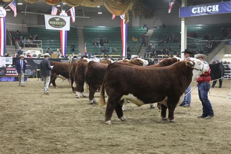 2020 National Western Stock Show Results - American Hereford Association